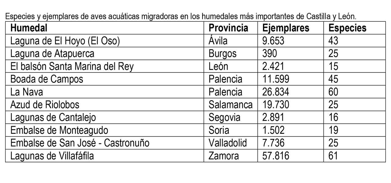 Especies y ejemplares de aves acuáticas migradoras en los humedales más importantes de Castilla y León