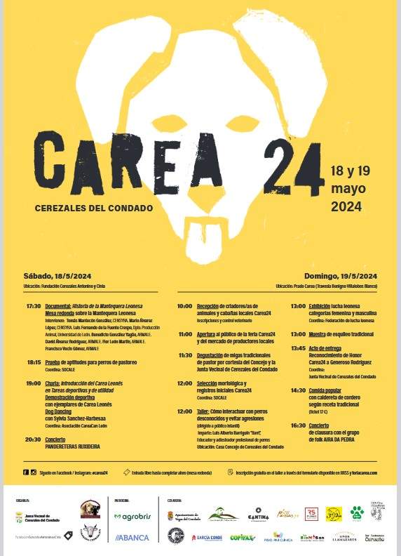 Carea 2024