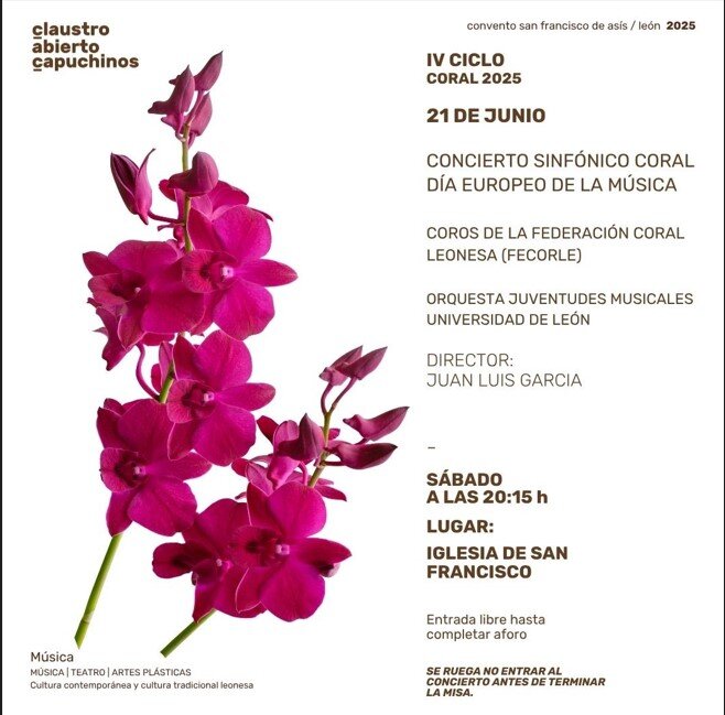 Captura de pantalla 2025-06-20 102503