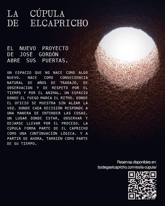 Captura de pantalla 2026-03-26 152117