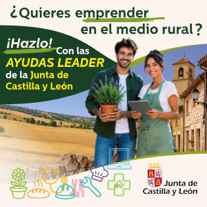 Publicidad 38461