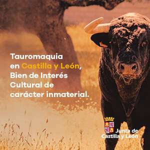 Publicidad 38602
