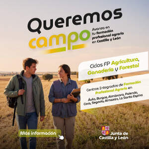 Publicidad 38602