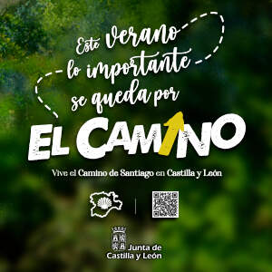 Publicidad 38461
